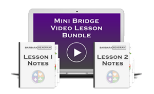 Mini Bridge Lessons